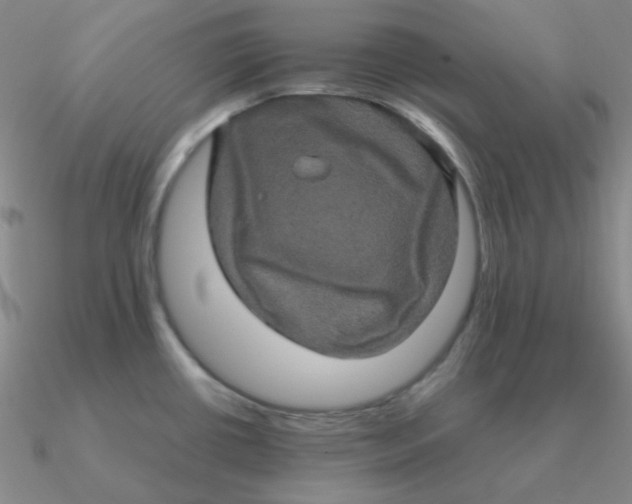 X0000090621434200708071215