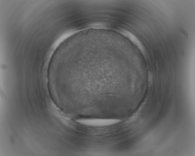 X0000090621435200708071215