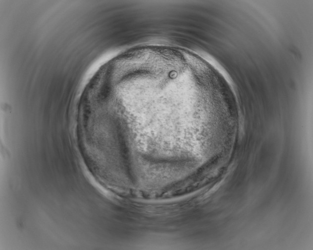 X0000090621437200708071215