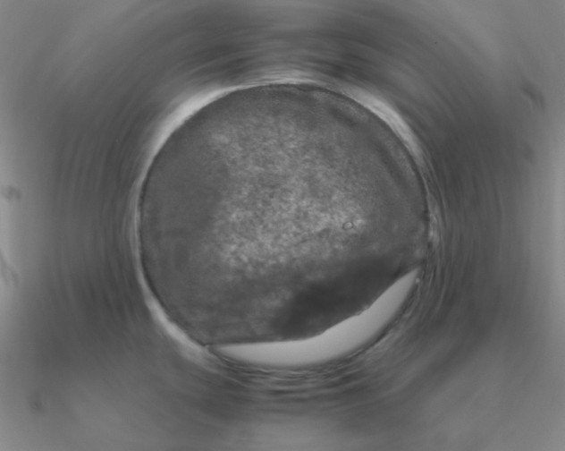 X0000090621439200708071215