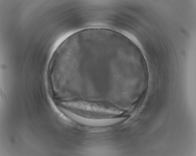 X0000090621440200708071215