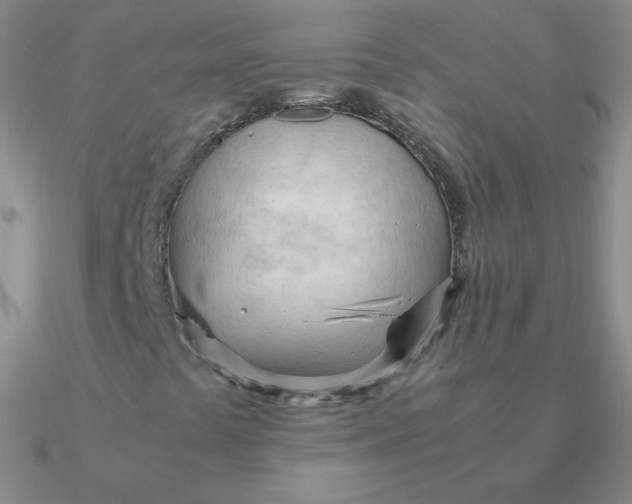 X0000090621441200708071215