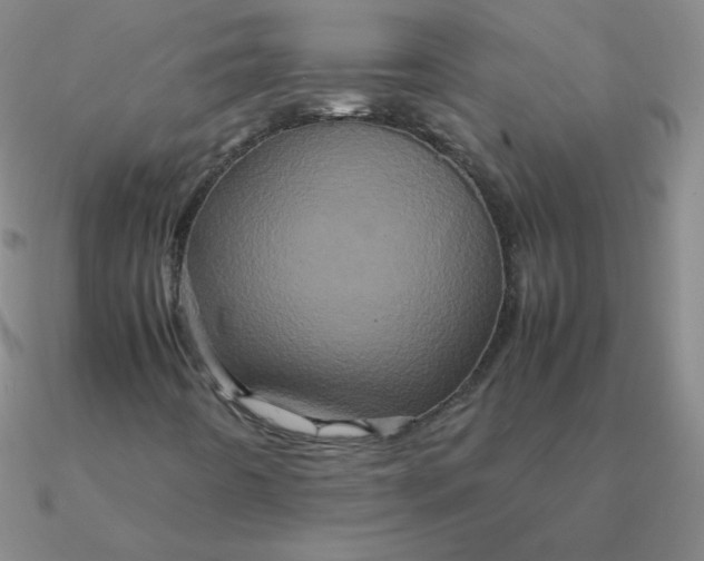 X0000090621442200708071215