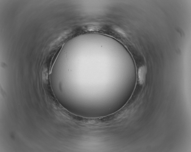 X0000090621443200708071215