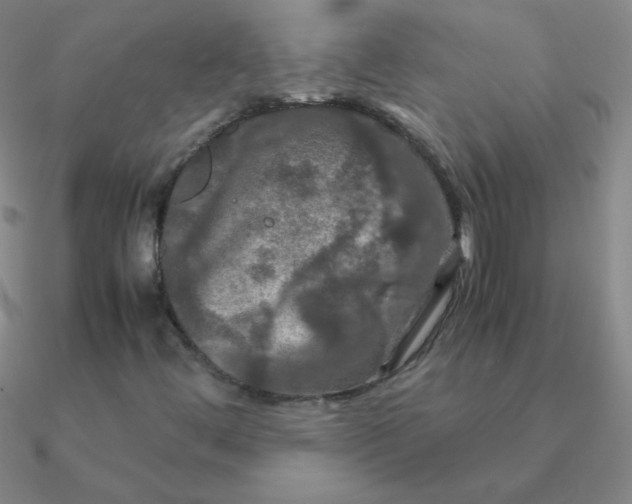 X0000090621444200708071215