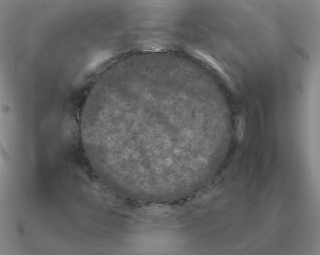 X0000090621446200708071215