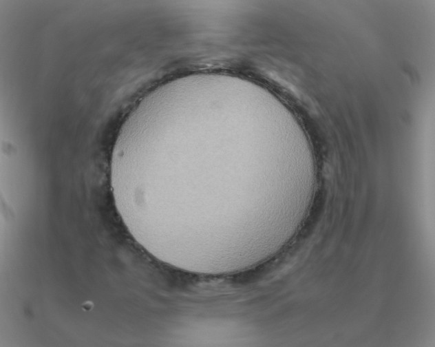 X0000090621447200708071215