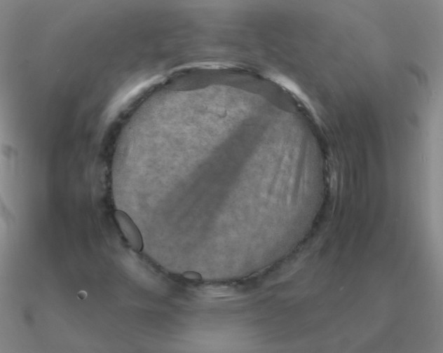 X0000090621448200708071215