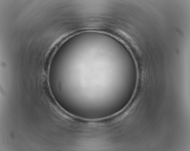 X0000090621449200708071215