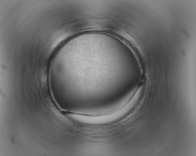 X0000090621450200708071215