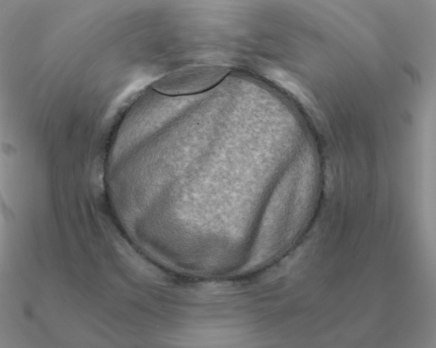 X0000090621451200708071215