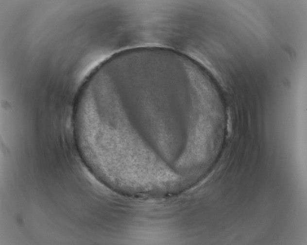 X0000090621452200708071215