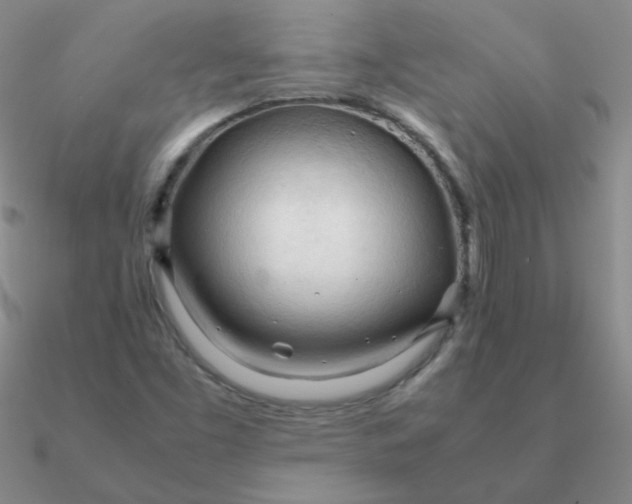 X0000090621453200708071215