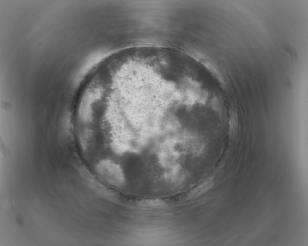 X0000090621454200708071215