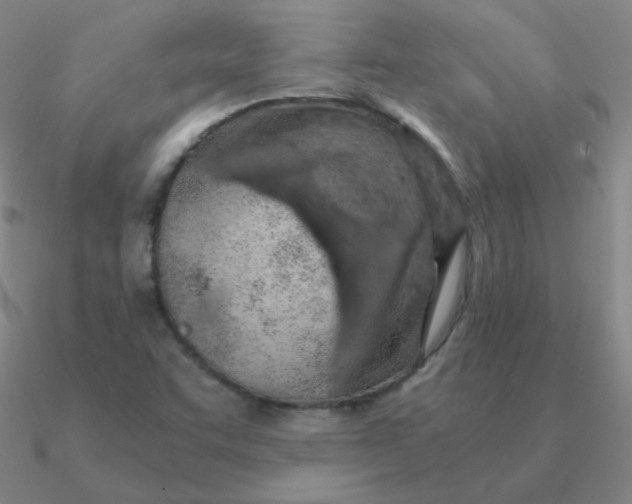 X0000090621455200708071215