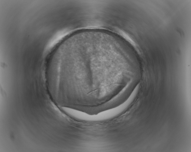 X0000090621456200708071215