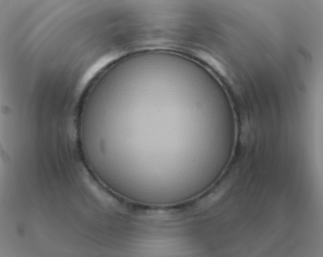 X0000090621458200708071214