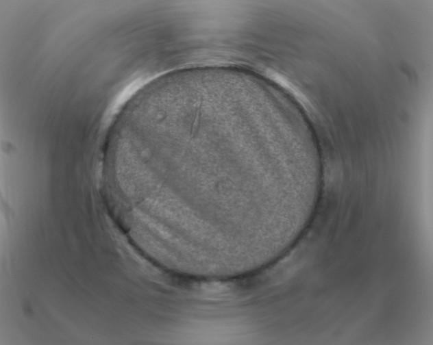 X0000090621459200708071214