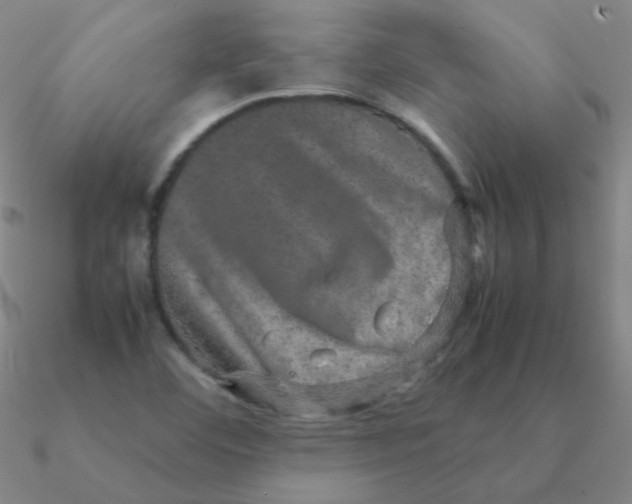 X0000090621460200708071214