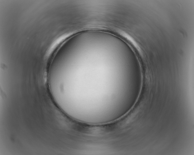 X0000090621461200708071214