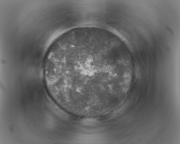 X0000090621462200708071214