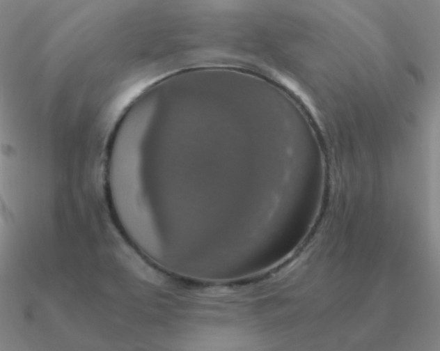 X0000090621463200708071214