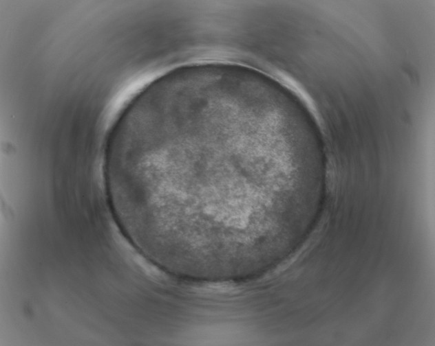 X0000090621464200708071214