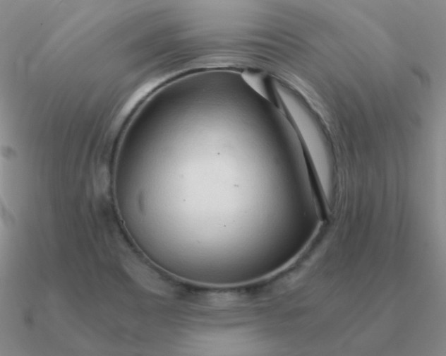 X0000090621465200708071214