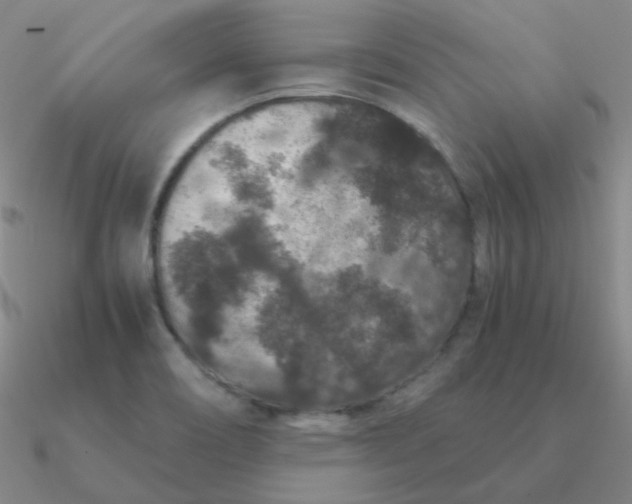 X0000090621466200708071214