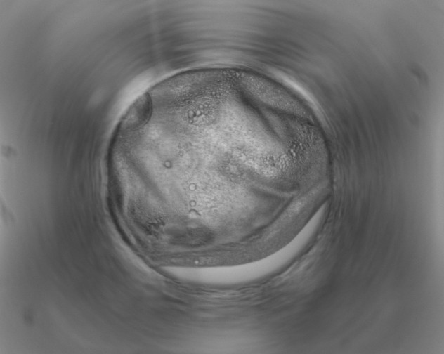 X0000090621467200708071214