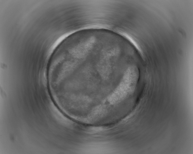 X0000090621468200708071214