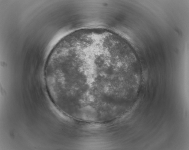 X0000090621470200708071214