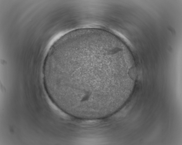 X0000090621471200708071214