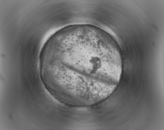 X0000090621472200708071214