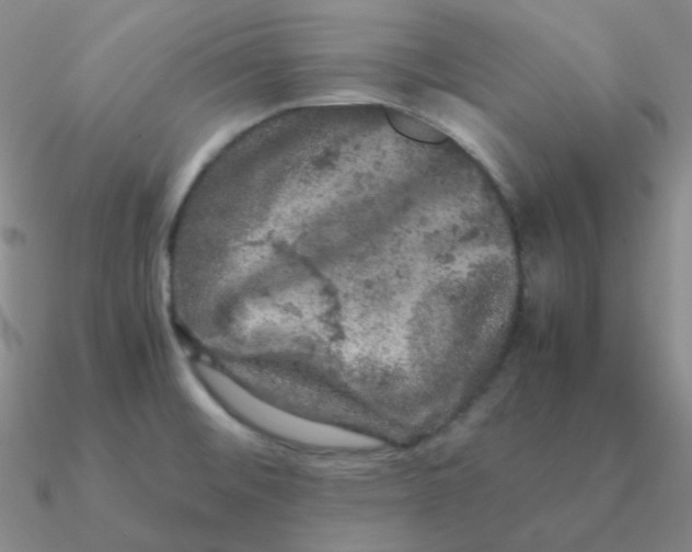 X0000090621476200708071214