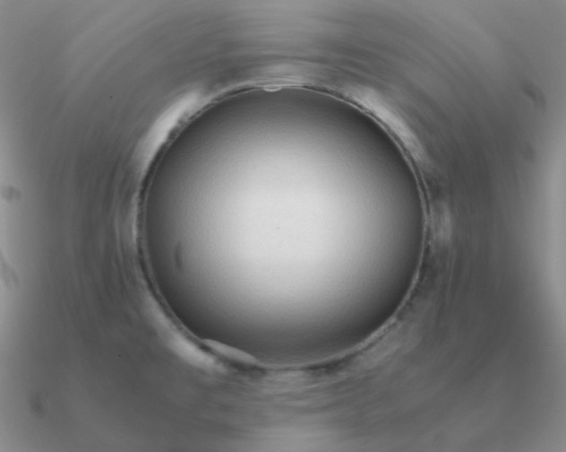 X0000090621477200708071214