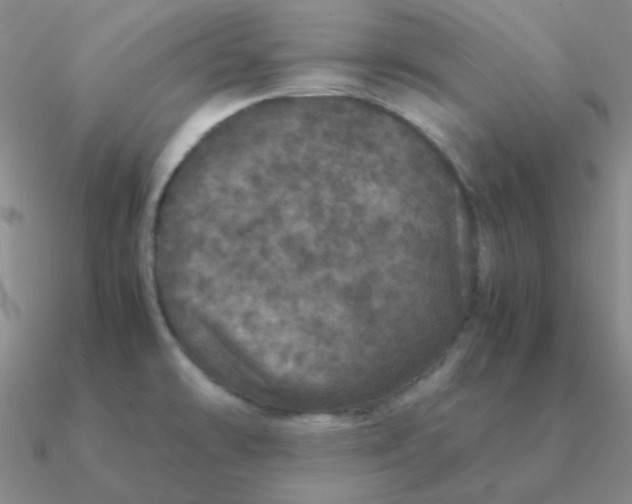 X0000090621478200708071214