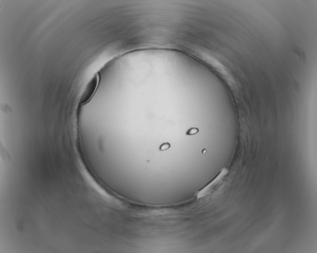 X0000090621479200708071214