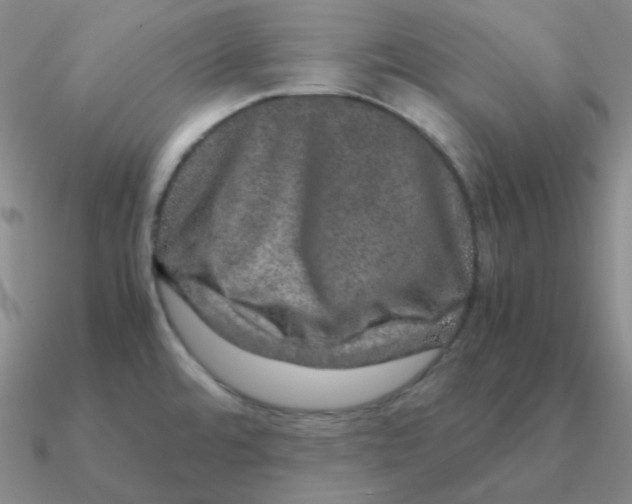 X0000090621480200708071214