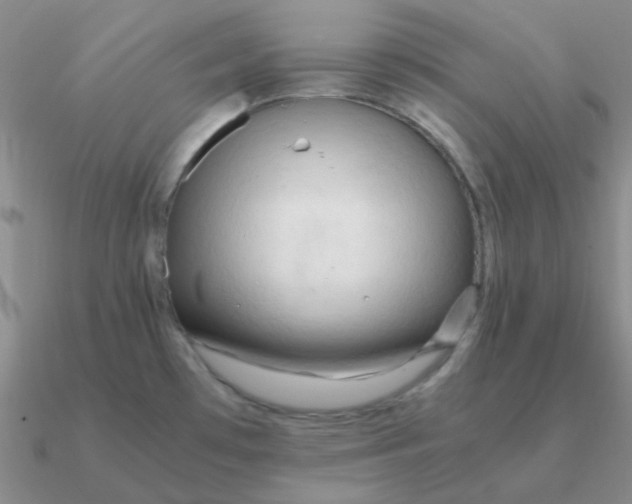 X0000090621481200708071214