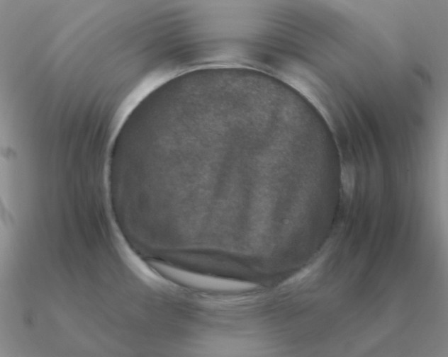 X0000090621482200708071214