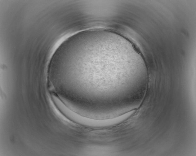 X0000090621483200708071214