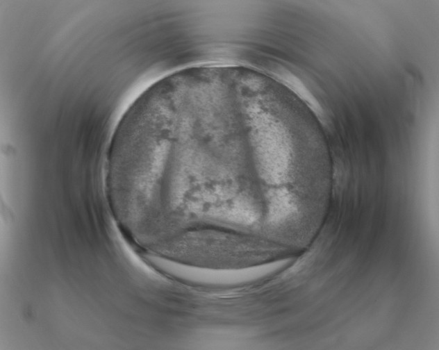 X0000090621484200708071214