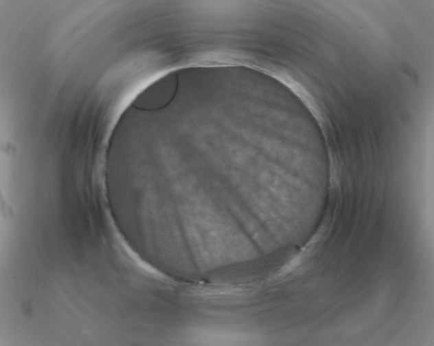 X0000090621486200708071214