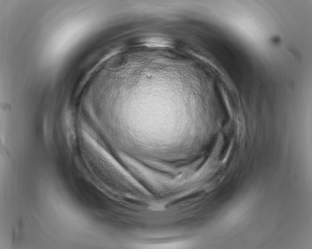 X0000090621487200708071214