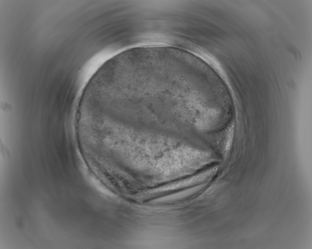 X0000090621488200708071214