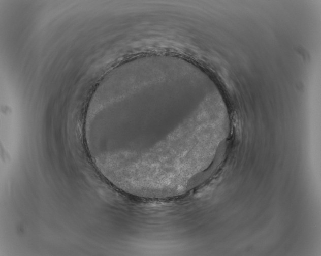 X0000090621489200708071213