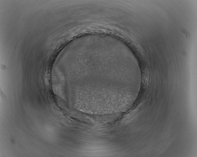 X0000090621490200708071213