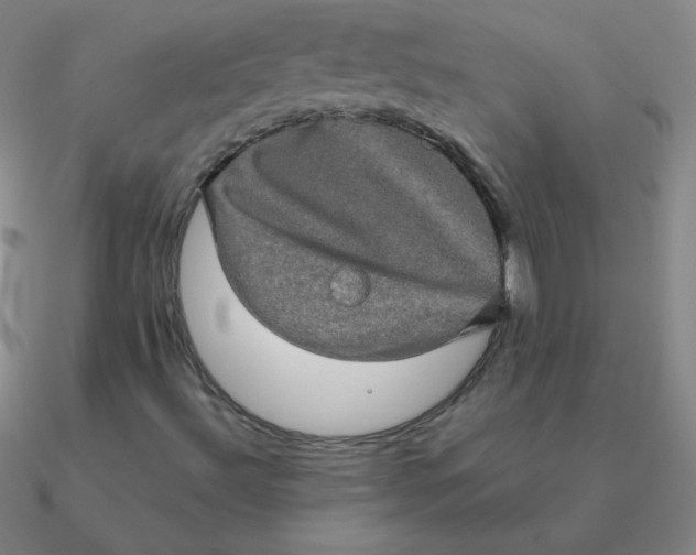 X0000090621492200708071214