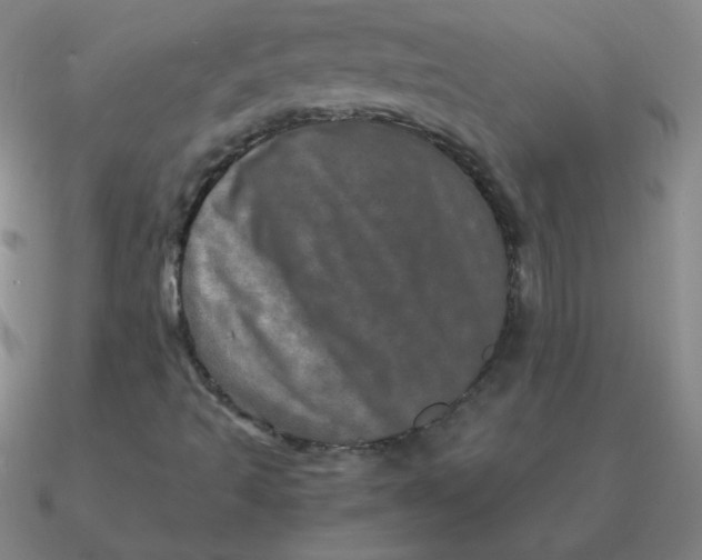 X0000090621493200708071214